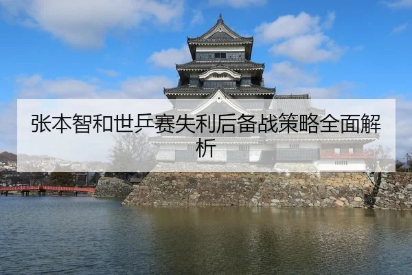 张本智和世乒赛失利后备战策略全面解析