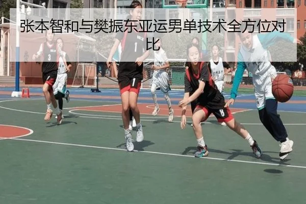 张本智和与樊振东亚运男单技术全方位对比